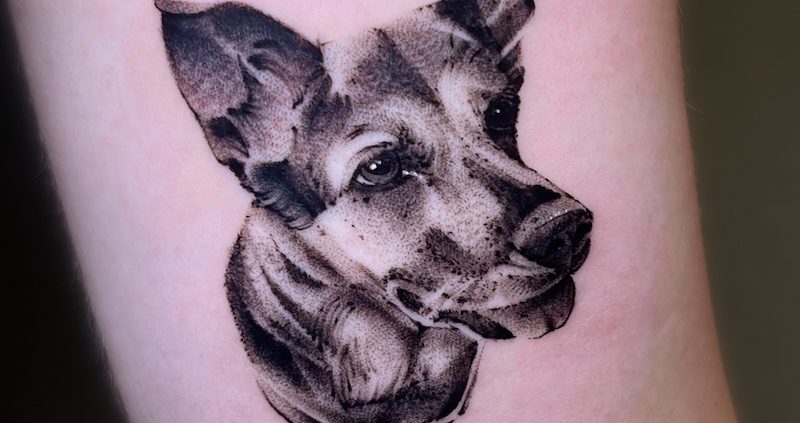 Dog tattoo warszawa