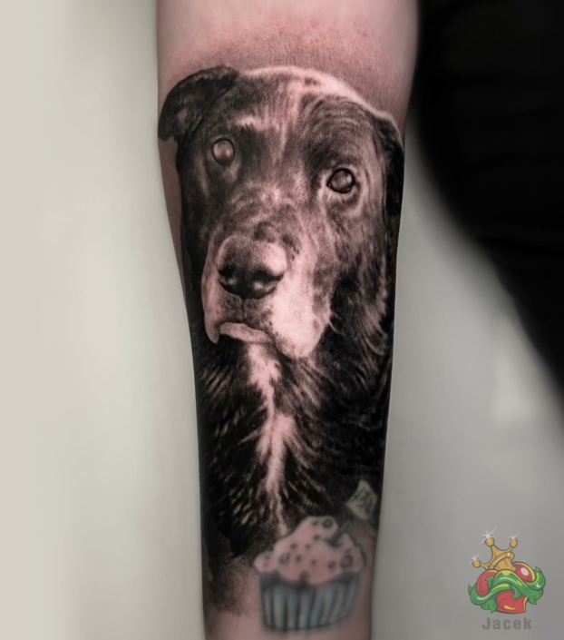 studio tatuażu warszawa realistyczne tatuaże warszawa portret psa